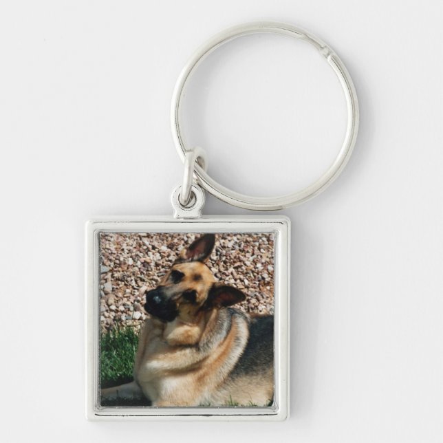Quizzical German Shepherd Keychain (Front)