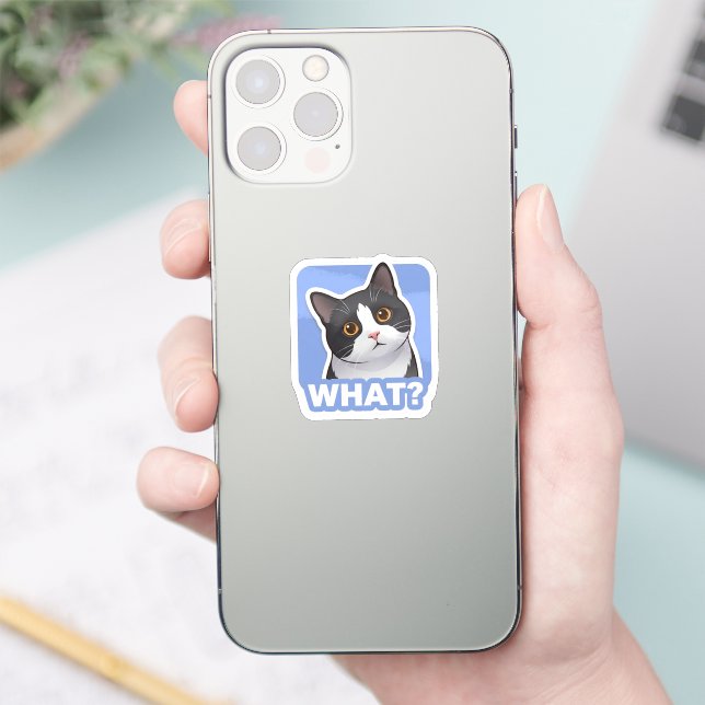 QUOI? Autocollant de chat drôle – Mème de chat con (Téléphone)