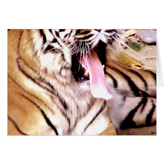 Quoi de neuf_ (Devant horizontal)