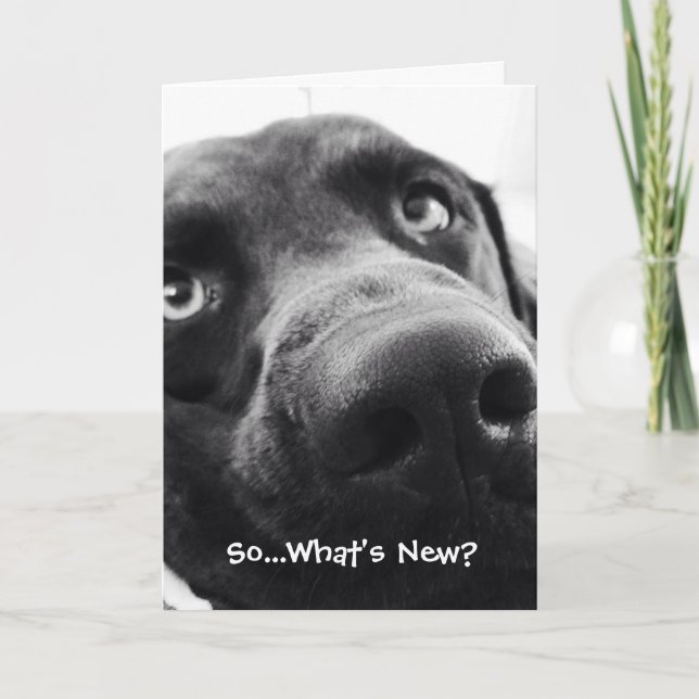 Quoi de neuf ? Bonjour carte de voeux (Devant)