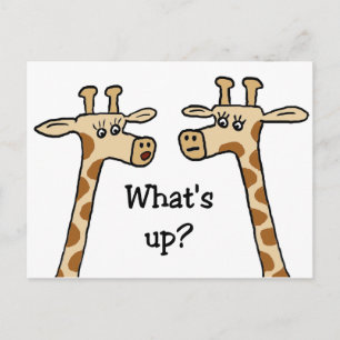 Quoi de neuf ? Cartes postales en girafe