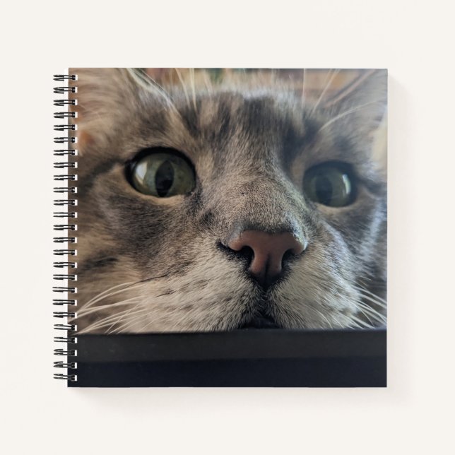 Quoi de neuf, Cat ? Carnet carré Spiral (Devant)