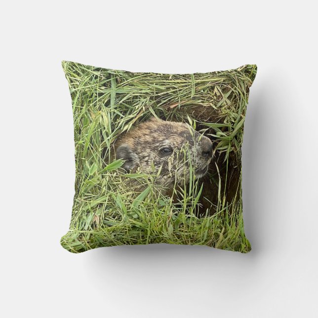 Quoi de neuf ? Coussin décoratif (Recto)