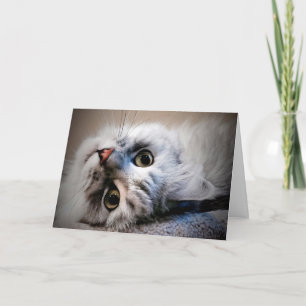 Quoi de neuf ? Penser à votre carte