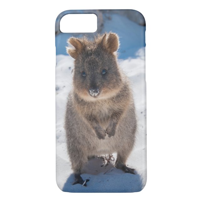 Quokka Cute Little Animal on the Beach Australia Case-Mate iPhone Case (Back)
