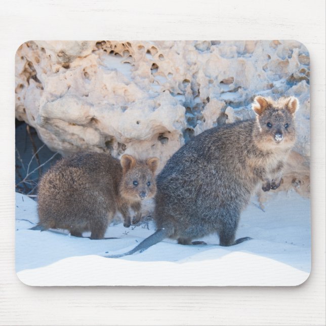 Quokka Mouse Pad (Front)