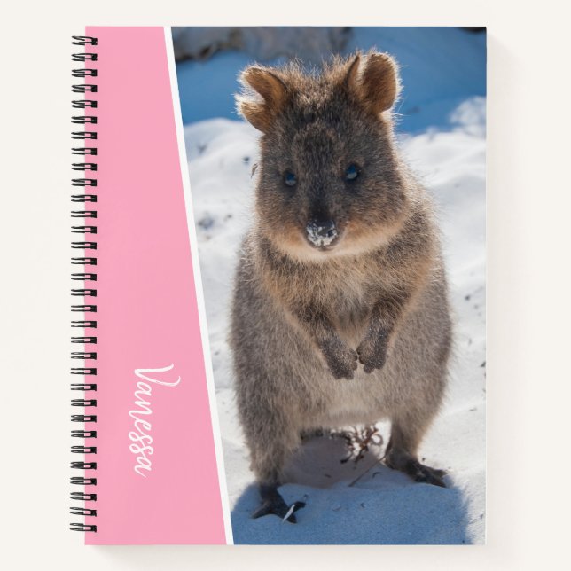 Quokka on the Beach Australia, Pink Accent Girls Notebook