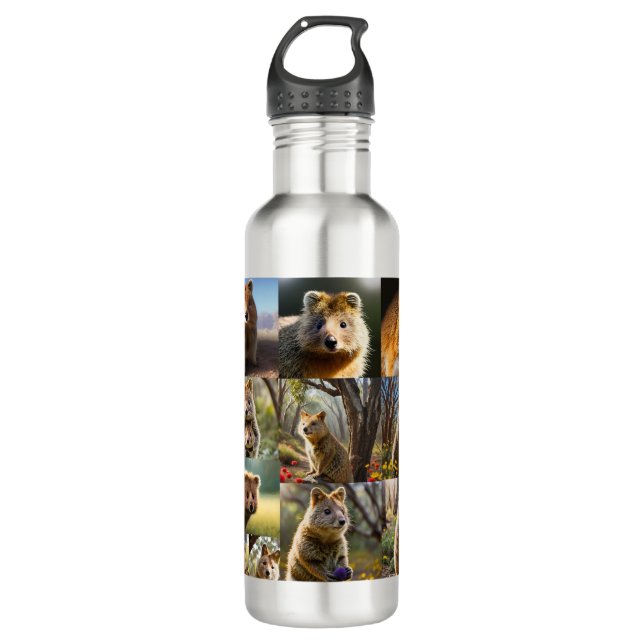 Quokka Photo Collage,  710 Ml Water Bottle (Front)