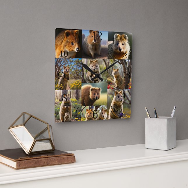 Quokka Photo Collage,  Square Wall Clock (Office)