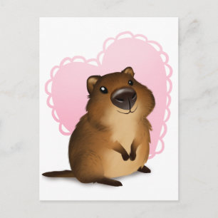 Quokka Postcard
