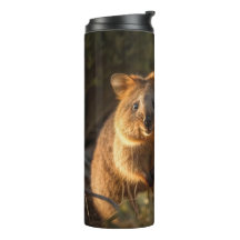 QUOKKA