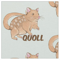 Quoll Australian Marsupial