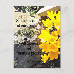 Quote about finding beauty all around. postcard