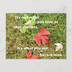 Quote byThoreau: It's not what you look at that Postcard