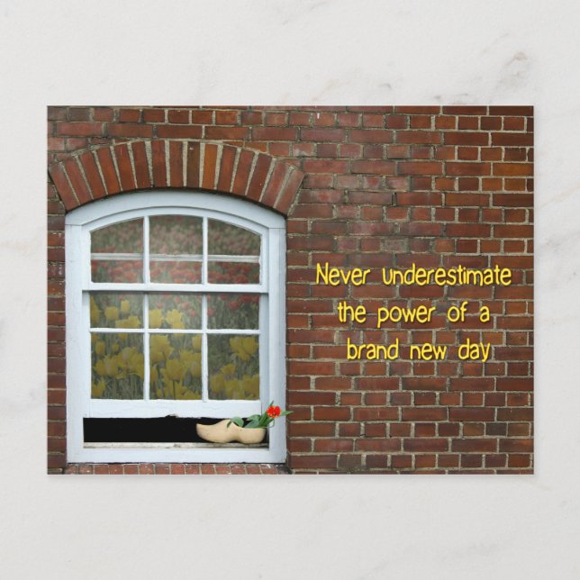 Quote with red tulip in Dutch shoe Holiday Postcard (Front)