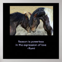 Quote with Two Brown Wild Horses Nuzzling