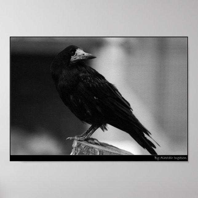 Quoth the Raven Poster (Front)