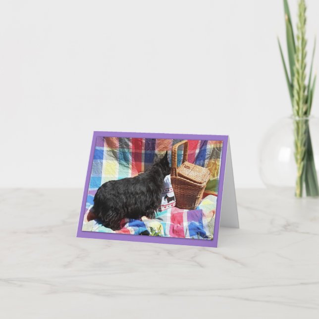 Qu'y a-t-il dans le panier ? (Devant)