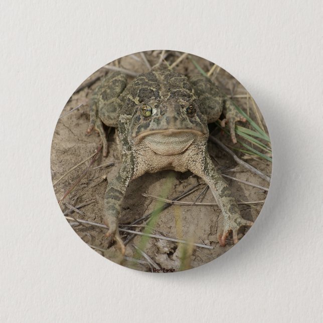 R10 Prairie Toad 2 Inch Round Button (Front)