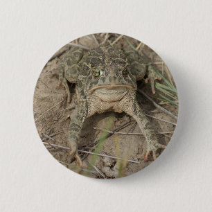 R10 Prairie Toad 2 Inch Round Button