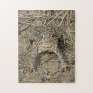 R10 Prairie Toad Jigsaw Puzzle