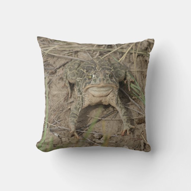 R10 Prairie Toad Throw Pillow (Front)