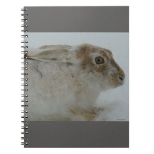 R11 Snowshoe Hare Head Shot Notebook