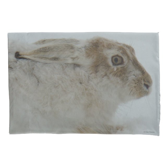 R11 Snowshoe Hare Pillowcase (Front)