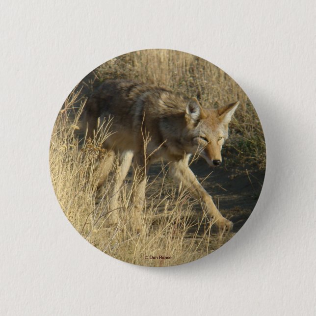 R14 Coyote Walking 2 Inch Round Button (Front)