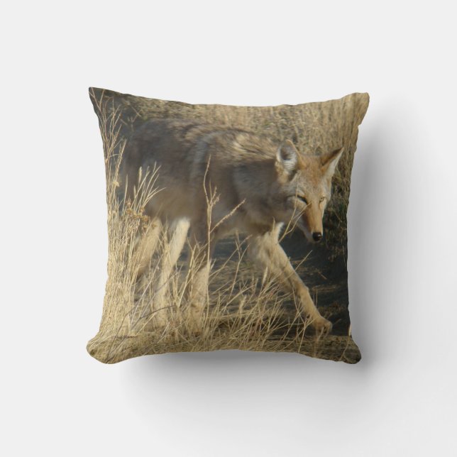 R14 Coyote Walking Throw Pillow (Front)