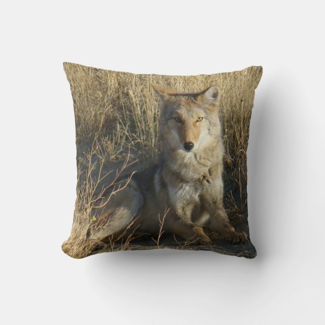 R15 Coyote Laying Throw Pillow (Front)