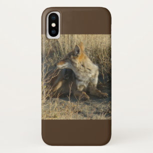 R16 Coyote Scratching Case-Mate iPhone Case
