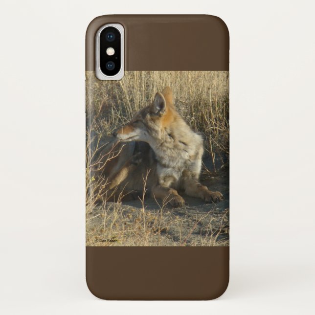 R16 Coyote Scratching Case-Mate iPhone Case (Back)