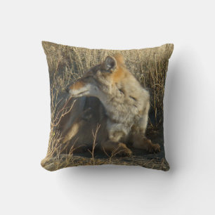 R16 Coyote Scratching Throw Pillow