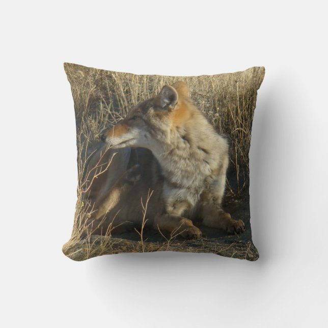 R16 Coyote Scratching Throw Pillow (Front)