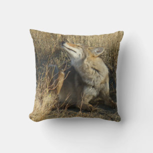 R17 Coyote Scratching Throw Pillow