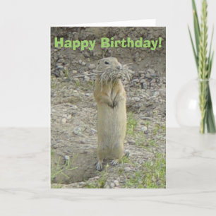 R1 Richardson's Ground Squirrel Card