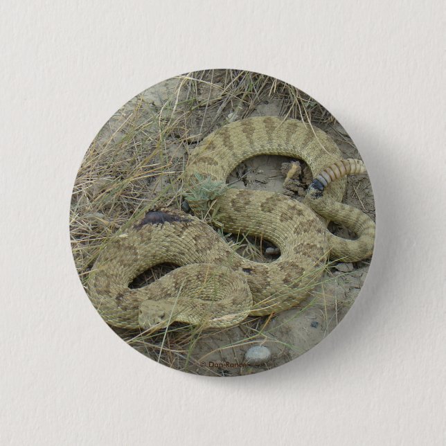 R20 Prairie Rattlesnake 2 Inch Round Button (Front)