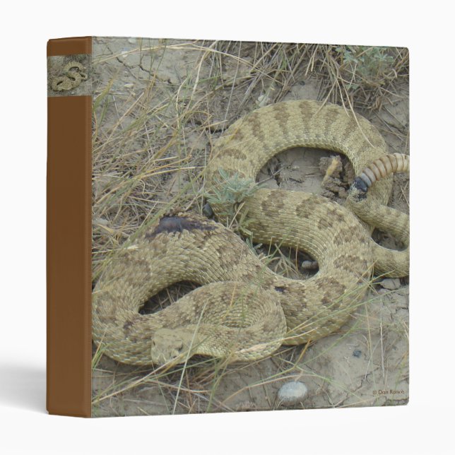 R20 Prairie Rattlesnake Binder (Front/Spine)