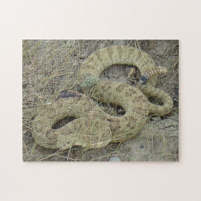 R20 Prairie Rattlesnake Jigsaw Puzzle (Horizontal)