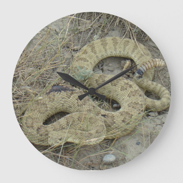R20 Prairie Rattlesnake Large Clock (Front)