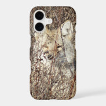 R21 Coyote "Watching You"
