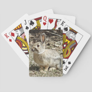 R24 Cotton-tail Rabbit Playing Cards