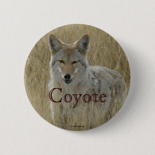 R2 Coyote in Tall Grass 2 Inch Round Button