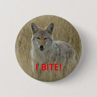 R2 Coyote in Tall Grass 2 Inch Round Button