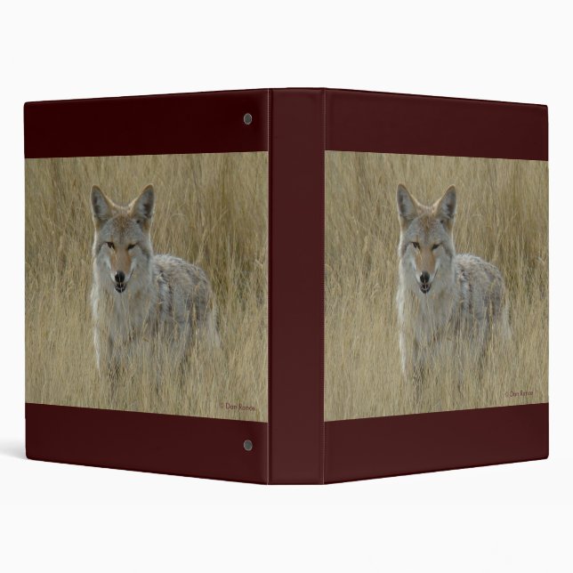 R2 Coyote in Tall Grass Binder (Background)