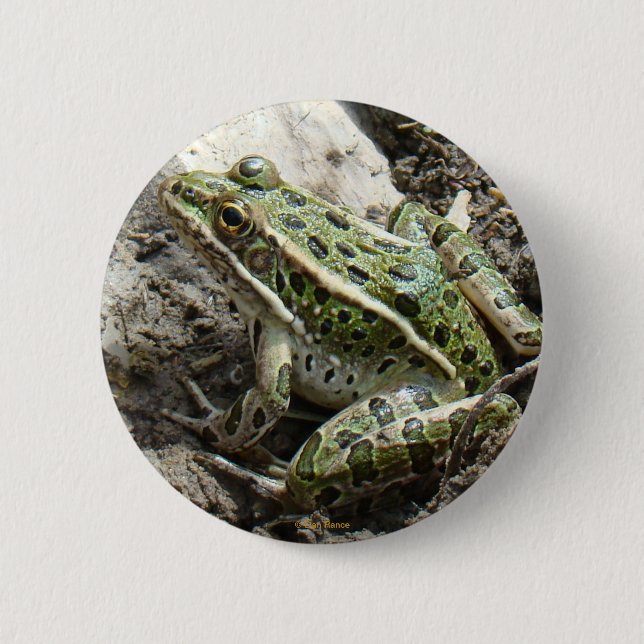 R3 Leopard Frog 2 Inch Round Button (Front)