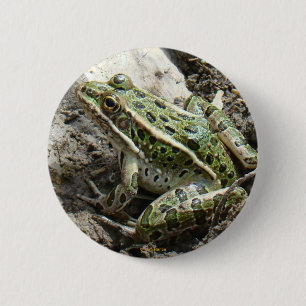 R3 Leopard Frog 2 Inch Round Button