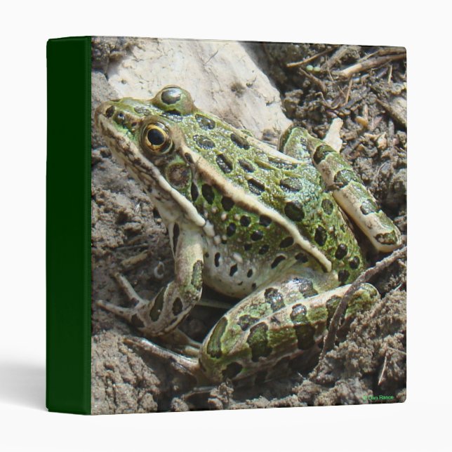 R3 Leopard Frog Binder (Front/Spine)