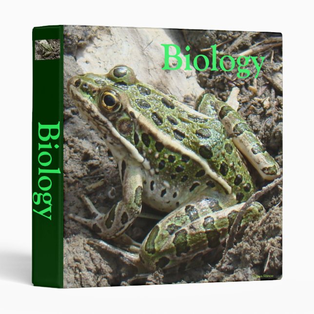 R3 Leopard Frog Binder (Front/Spine)